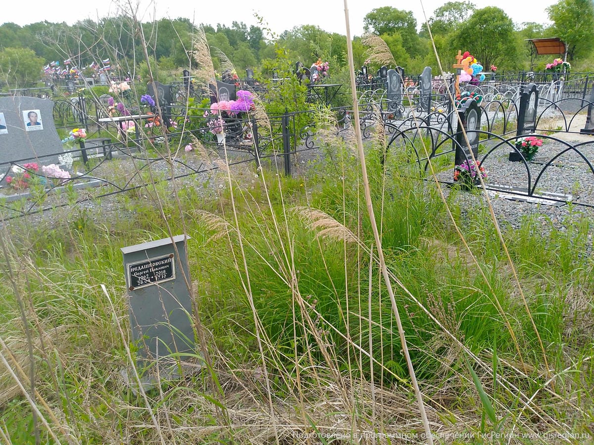 Недашковский Сергей Павлович