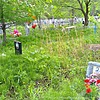 Порожняк Виктор Александрович