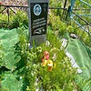 Приходько Леся Григорьевна