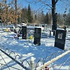 Типикина Светлана Александровна