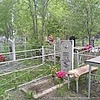 Шебеко Владимир Ефремович