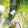 Храйрулин Динис Фарттинович