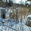 Лысякова Наталья Никифоровна