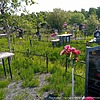 Адволодкина Мария Климентьевна