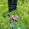 Дорофеев Борис Игоревич
