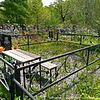 Крекотень Варвара Радионовна