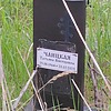 Чайцкая Татьяна Викторовна