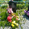 Моисеенко Светлана Вячеславовна
