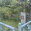 Подоба Дмитрий Георгиевич