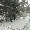 Кушнир Наталья Ивановна