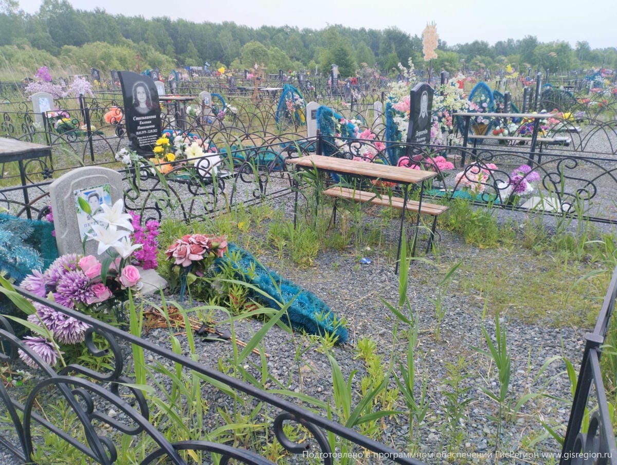 55258c3b-fea9-4836-8c04-e00e0a67569c Петренко Тамара Александровна