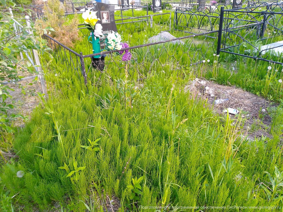 Неизвестно Неизвестно Неизвестно