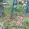 Гребень Анатолий Дмитриевич