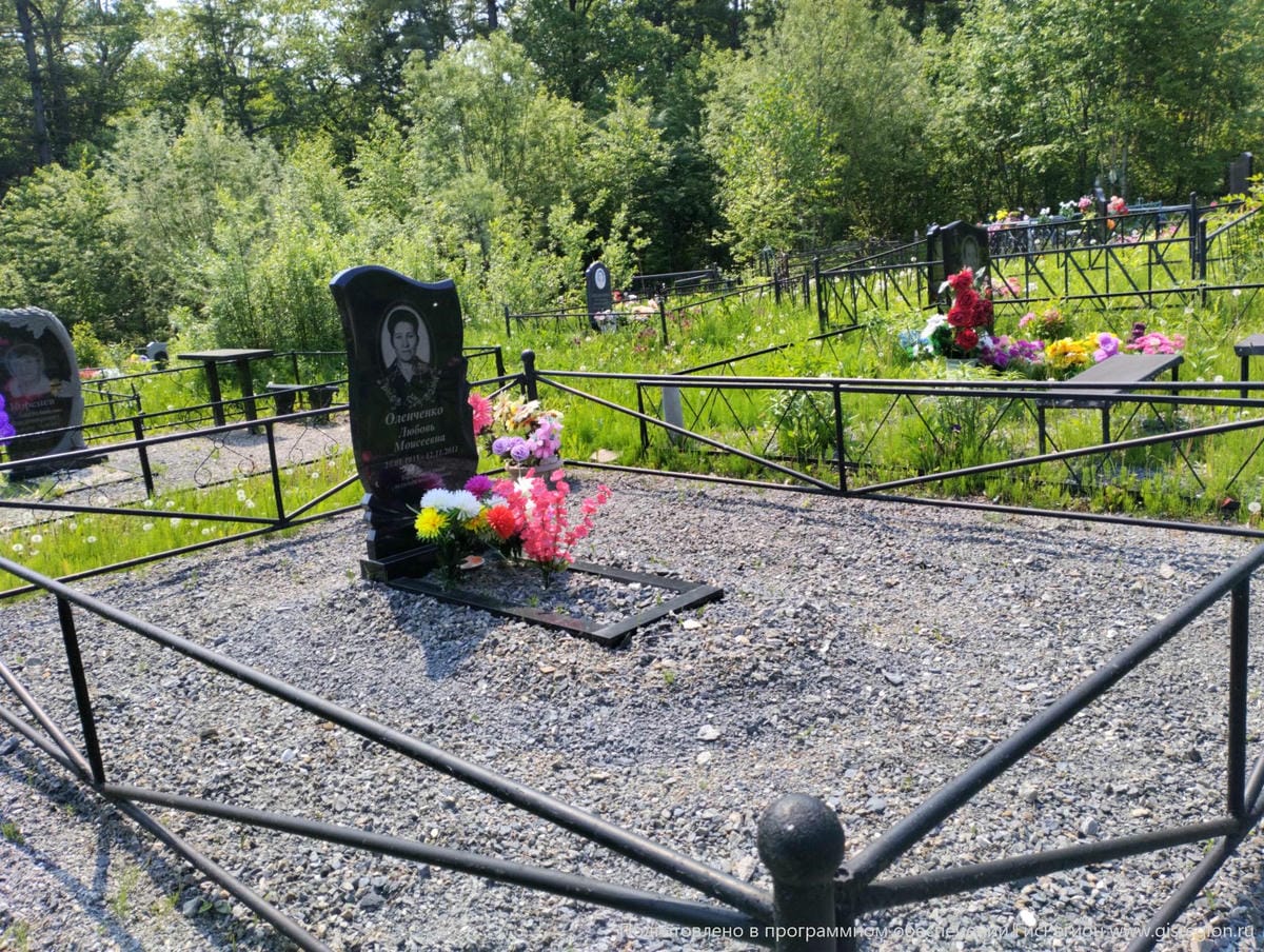 56c446d8-f987-45fc-a756-25dc4b2ec7a4 Оленченко Любовь Моисеевна