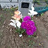Смоляр Анатолий Васильевич