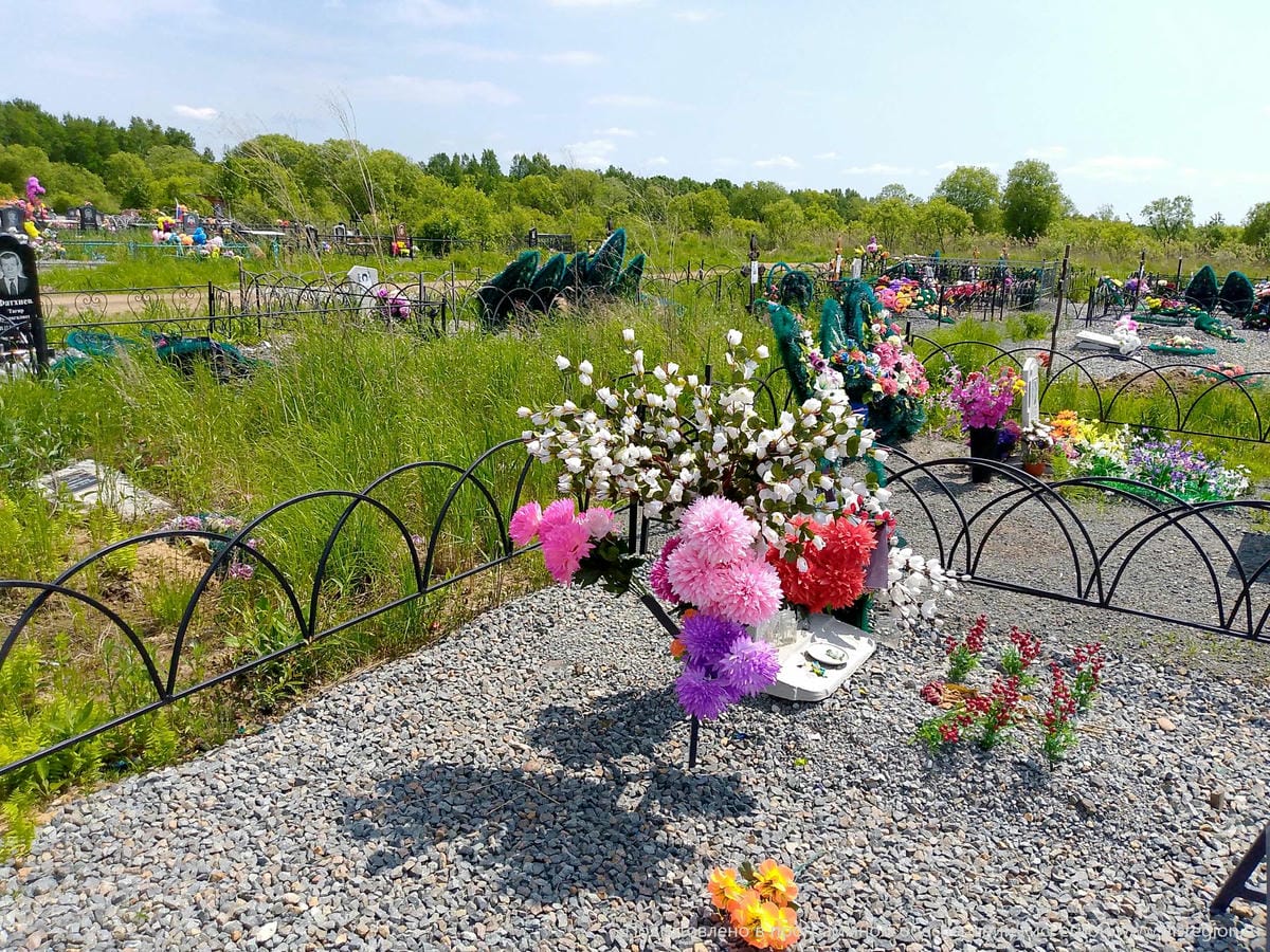 Шут Василий Иванович