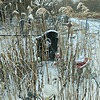 Щербаков Михаил Неизвестно