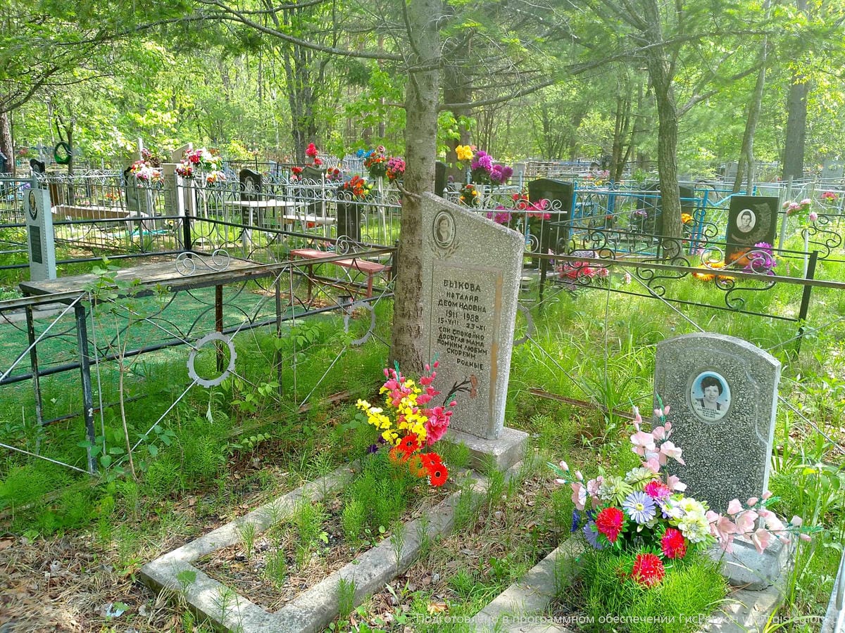 59950994-c00b-47c2-96fb-428374953864 Быкова Наталья Деомидовна