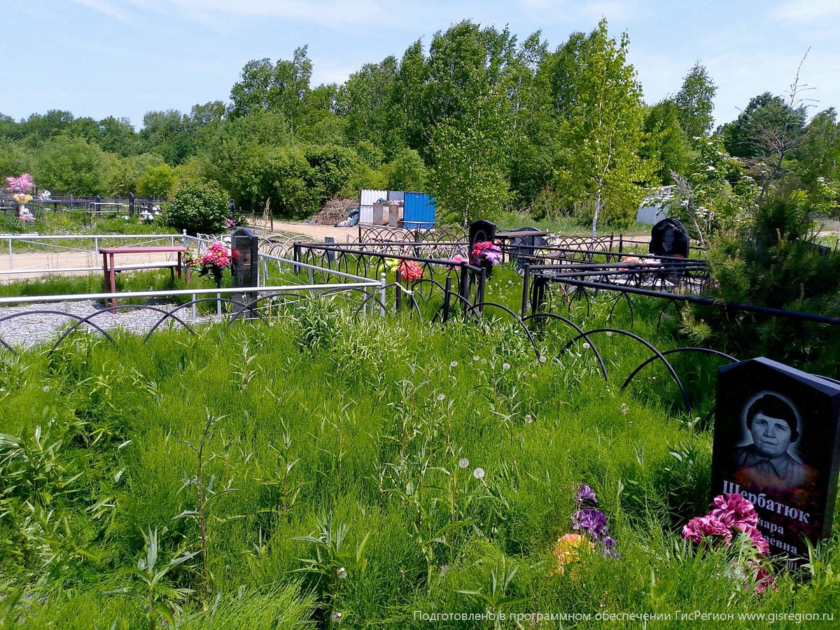 59ea2c8d-36c7-4554-9516-77aa9a047298 Щербатюк Тамара Николаевна