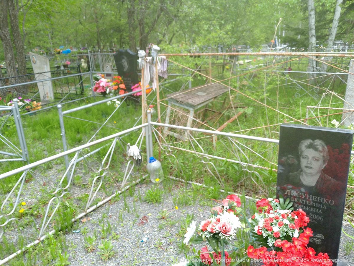 5a486c40-1fd8-4319-a9c4-5ec60e5c3399 Лисуненко Екатерина Юрьевна