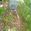Гришина Елена Анатольевна