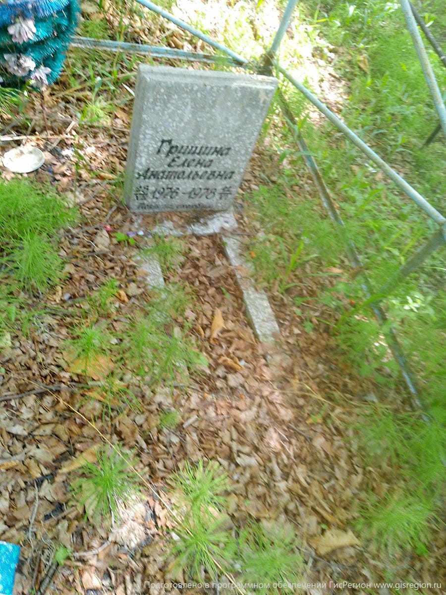 Гришина Елена Анатольевна