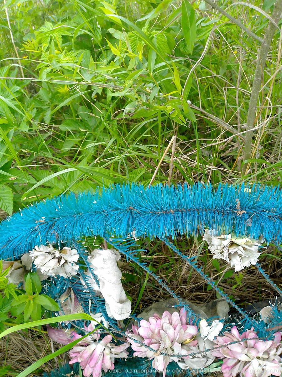 Неизвестно Неизвестно Неизвестно