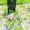 Лялюк Владимир Иванович