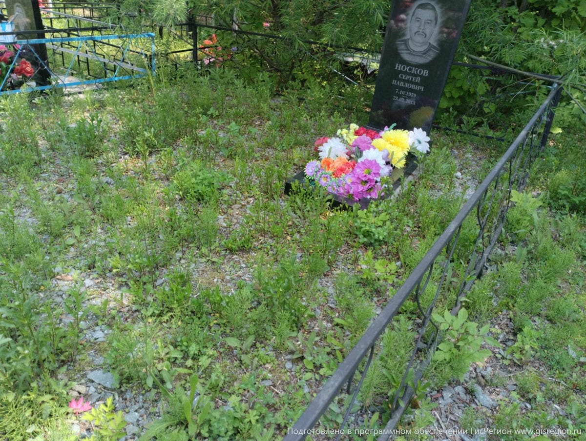 5d043802-9d41-466d-8137-a9d62163f00d Носков Сергей Павлович