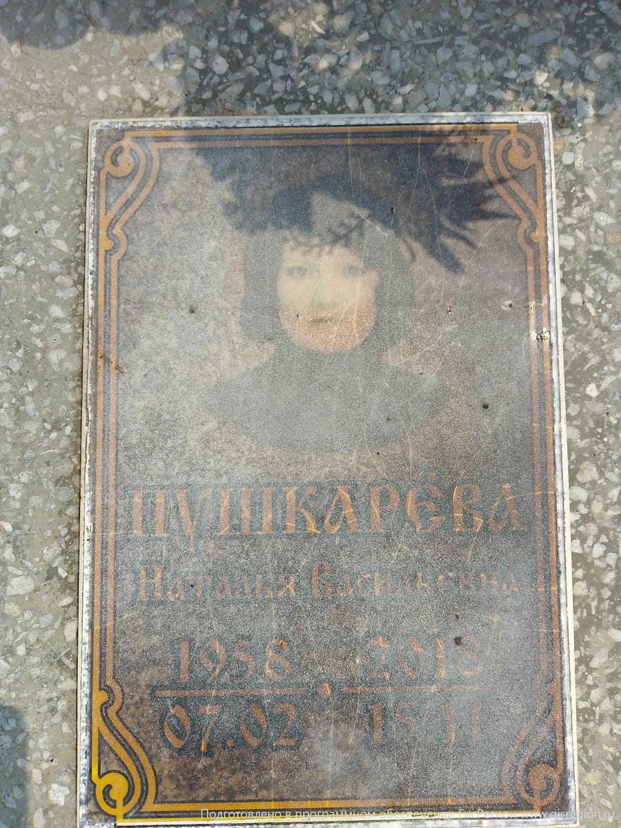 5ef44f33-3e8d-4810-95a2-7b7395ce1aca Пушкарева Наталия Васильевна