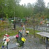 Воронова Анна Степановна