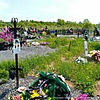 Березина Елена Юрьевна