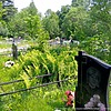 Плохова Анна Георгиевна
