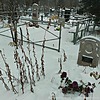 Чеботарев Александр Андреевич