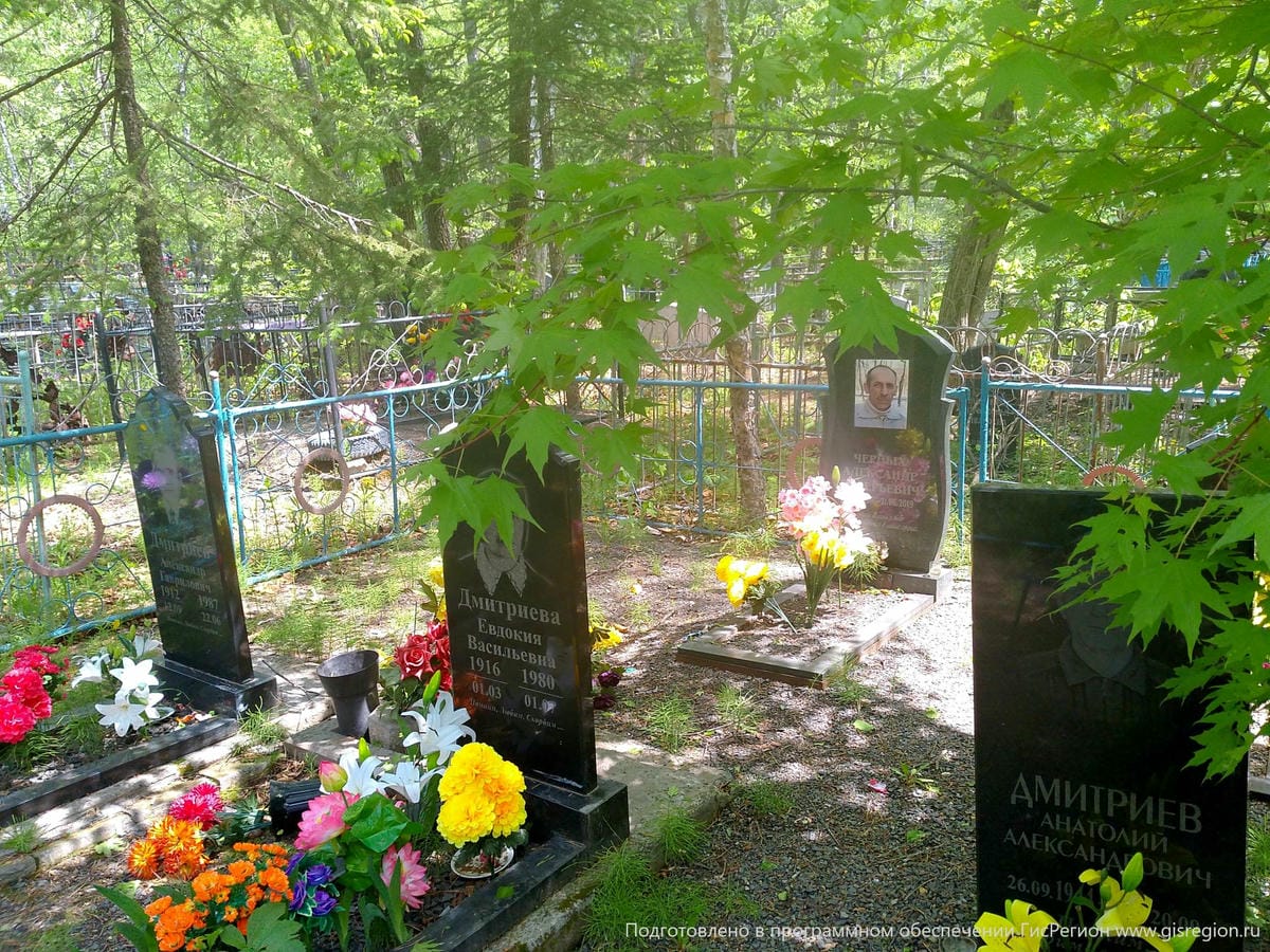 Дмитриев Александр Гаврилович