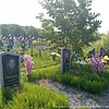 Снегирь Евгений Алексеевич
