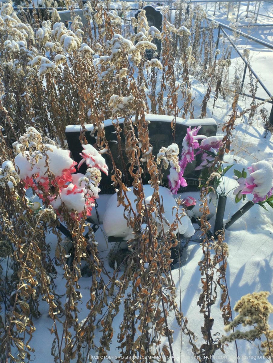 Коломеец Мария Павловна