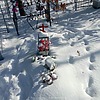 Фиалка Антон Сергеевич