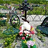 Корепанов Александр Владимирович
