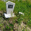 Перфильев Сергей Геннадьевич