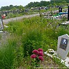 Рогожина Елена Викторовна