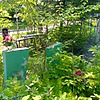Сакрюкина Александра Ивановна