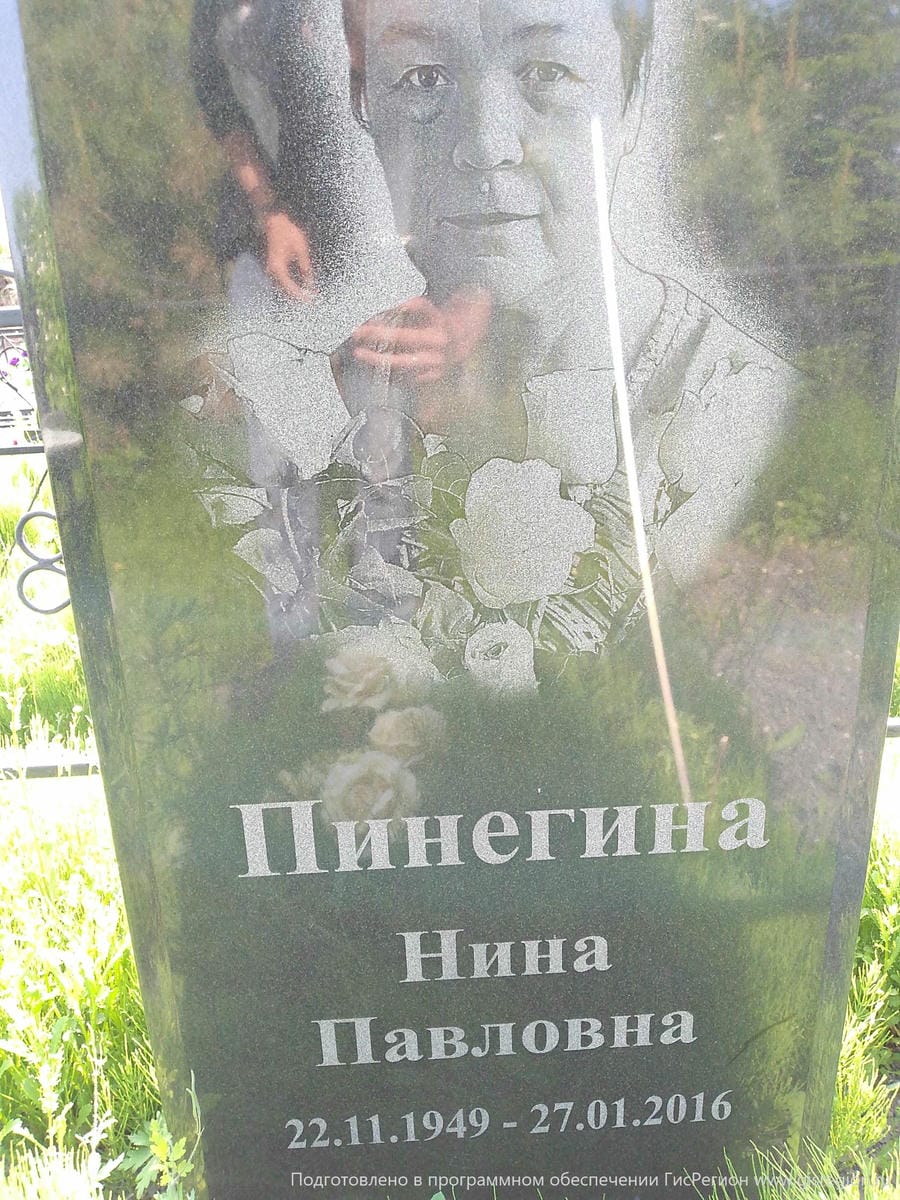 678984a6-fb16-4fef-9567-ce8aaa94f379 Пинегина Нина Павловна