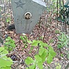 Редько Илья Сергеевич