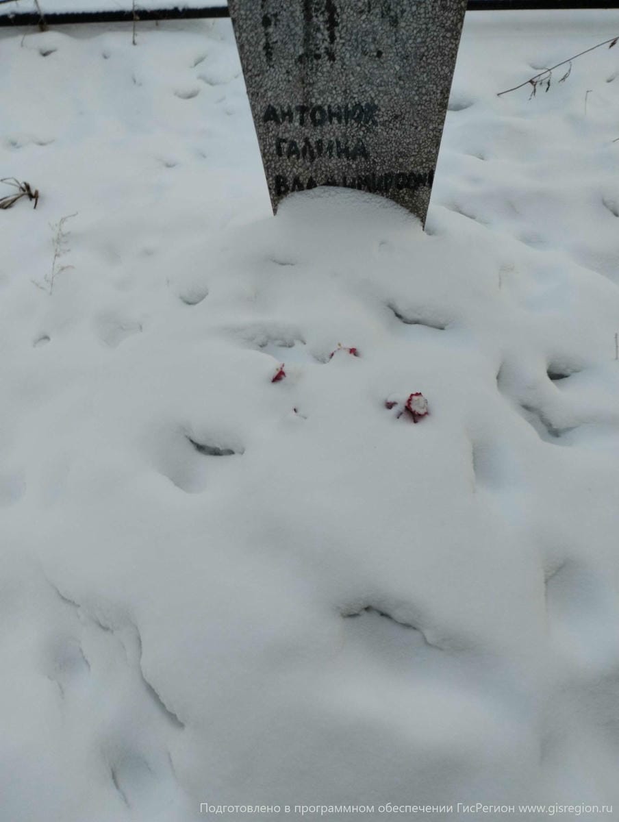 Антонюх Галина Владимировна