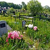 Суздалев Виталий Владимирович