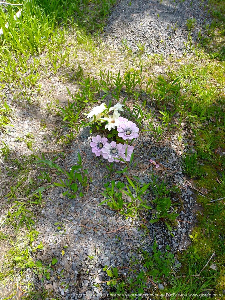 Неизвестно Неизвестно Неизвестно