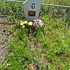 Виноградова Наталья Петровна