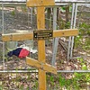 Краснянская Прасковья Сафоновна