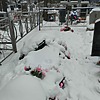 Дегтярева Людмила Васильевна